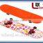 skateboard heat transfer film with cartoon pattern
