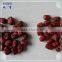 chinese product natural dry red date