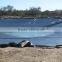 HDPE Black And White Film 20ft for Aquafarm