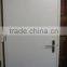 Exterior Flush Metal Doors