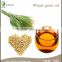 Wheat Cold Press Germ Oil in Herbal Extract