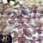 LACE CORDED EMBROIDERY FABRIC