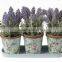 Galvanized zinc 3 flower pots on a saucer in classical rose print
