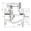 API6D/ ANSI/ DIN/ JIS RF/ RTJ Flange Cast Steel Check Valve (non return valve)