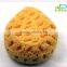 High quality natural sea bath sponge for kids for sale