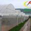 low cost greenhouse commercial greenhouse agricultural greenhouse