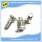 China manufacturer nonstandard stainless steel chicago screws