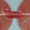 Hot Sales Butterfly Fairy Wings for Party Decoration