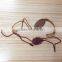 China Factory Price Embossed Garment Plastic Seal tag Name Tags with String
