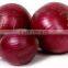 Newest Crop Fresh Nasik Red Onion