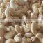 Unshelled Dried Cashew Nuts W240/W320/W450/SW320/DW (Whatsaap/Viber: +84965152844)