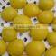 2016 new crop Frozen peach/IQF peach harlves, slice, dice