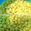 IQF peach slices/ sliced frozen peach for sale