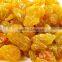 NEW YEAR GOLDEN RAISIN FOR EXPORT