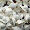 Chinese traditional foods frozen dumpling