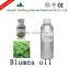 High Quality Blumea Oil of Essential Oil selling