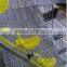 automatic drinking system quail cages