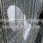 Wire Mesh Metal Quail Cage And Water System
