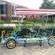 4 Wheel Two Person Quadricycle Leisure Carriage 6 Surrey Bikes