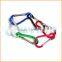 Fashion High Quality custom carabiner with lanyard