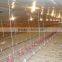 design for chicken coop poultry farm
