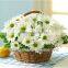 Wholesale Handmade ECO-friendly Home And Garden Decoration Flower Basket