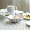 Japanese style Stripe decal 5pcs ceramic bonechina dinnerware