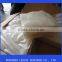 frozen giant squid fillet