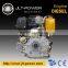 Twin Cylinder Diesel Engine