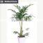 Indoor home decorative artificial bonsai tree for sale and for hotel and house landscape