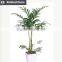 Classic artificial ficus tree topiary palm tree and indoor house plant for home and office decoration use