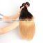 Beautiful 1b/27 straight 6a virgin hair alixpress malaysian hair