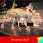 High Simulation Dinosaur Head Fossil Toys
