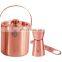 DA /LFGB Approved copper plated stainless steel cocktail shaker set with jigger