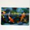 hot sell 3D lenticular magnet card manufacturer