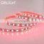 12/24v DC 12mm 4 in1 led strip SMD5050 rgbw led strip light