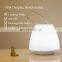 Hot sale battery changing switch on-off table light movable small led camping light for outdoor