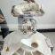 Easy operate steam bread making machine for sale / stainless steel dough divider rounder