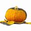 Wholesale Delicious Sweet Pumpkin Seeds for Growing
