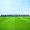 Green grass carpet for garden grass comfortable