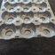 plastic packaging thermoformed blister insert trays