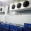 -25 degree industrial air cooler for quick frozen