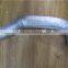 SHACMAN truck exhaust pipe wholesale from China