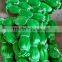 BRIGHT GREEN---NYLON MONOFILAMENT FISHING NET---0.28MM