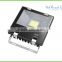 Outdoor 30w /50W/100W/200W outdoor lighted led flood lightings