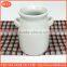 ceramic spice jar unique ceramic milk jar wholesale good price porcelain milk pot sugar bottle with two small handles