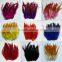 Rooster Tail Feather Exotic Feathers For Hat Decoration