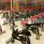 belt transmission spinning bike / cardio machine / TZ-7009