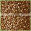 wholesale food grade brown roasted buckwheat kernels