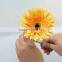 Wide varieties promotional single gerbera flower